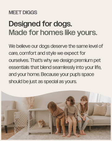 pet crate dog crate dog accessories dog chew dog crate bowl