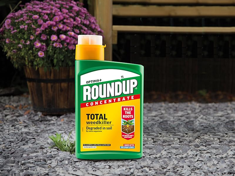 ROUNDUP Optima+ Cocenmtrate Weedkiller in use