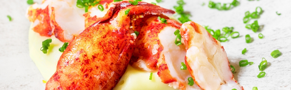 Today Gourmet Foods of NC - (2 lbs) Lobster Meat (Knuckle, Leg and Claw)