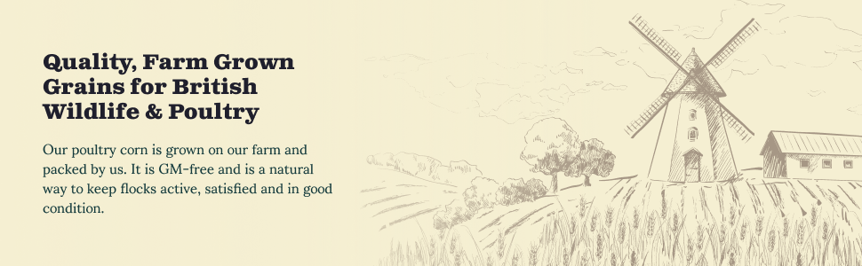 Large manufacture image 4