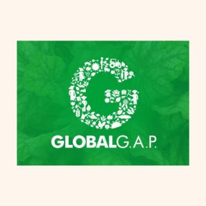 GLOBAL GAP