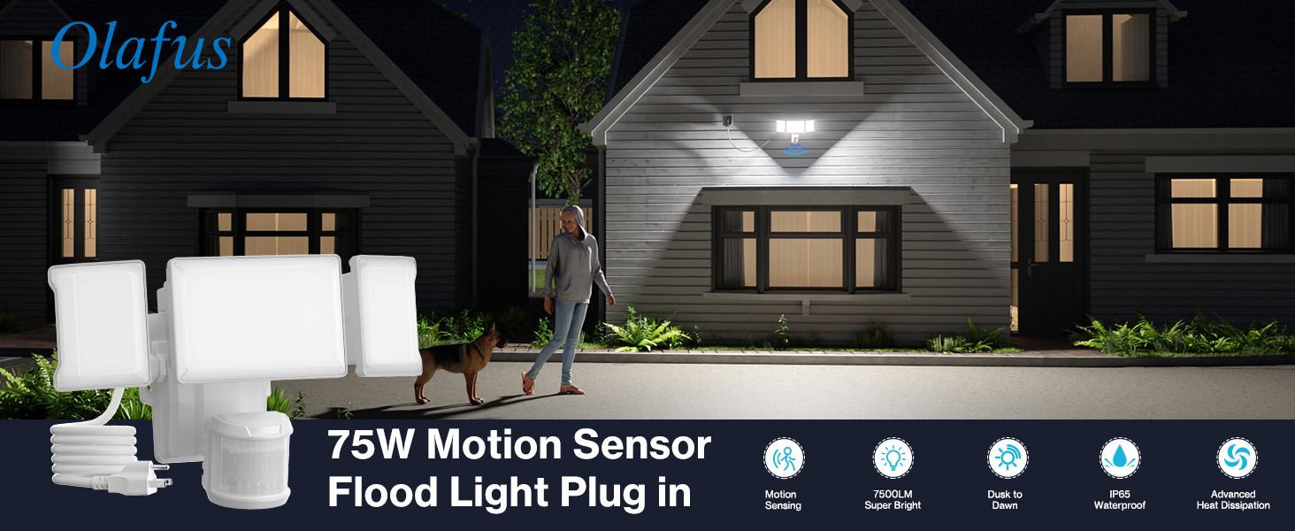 motion sensor