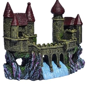 Castle and Weir v2