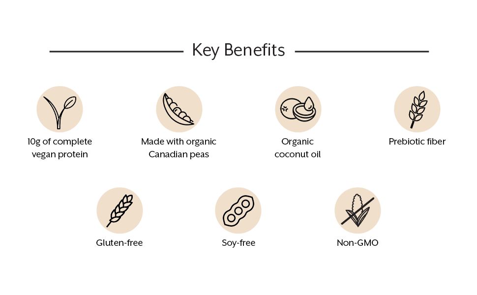 Vanilla vegan plant based protein bars healthy snack low sugar lean whey isolate powder energy bar