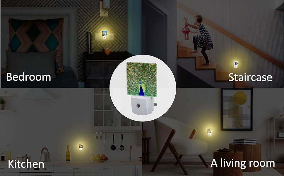 MSEAANBK Night Light Plug into Wall Misty Fir Forest Night Light with