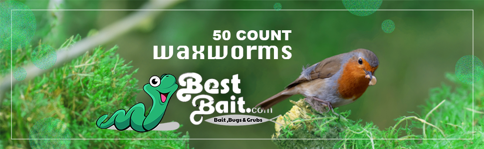 Waxworms Fishing Bait Feeder Insects Reptile Food Live Worms Amphibian Food
