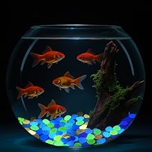 glow in the dark rock