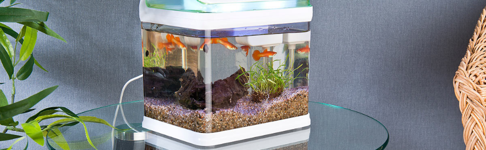 Sweetypet Nano-Aquarium-Komplett-Set mit LED-Beleuchtung, Pumpe & Filter  40l ab 101,99 €