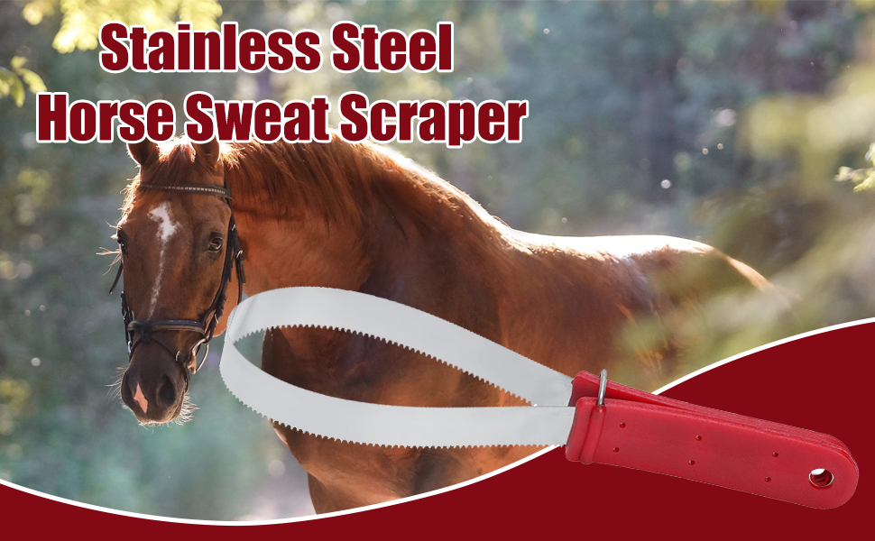 Horse Shedder Scraper