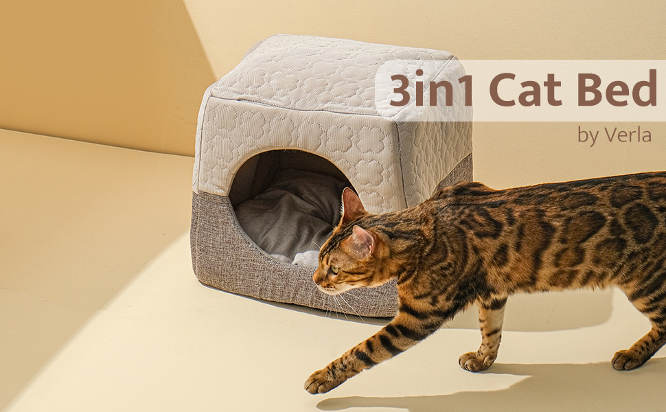 cat bed