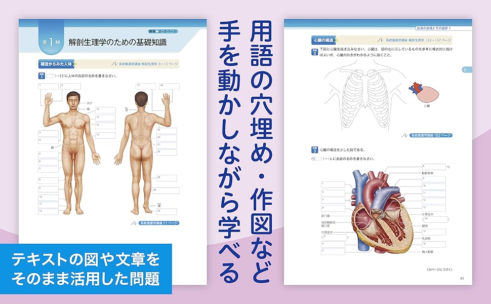 解剖学と生理学学習システム 4版 解剖学と生理学学習システム 4版 解剖学と生理学学習システム 4版