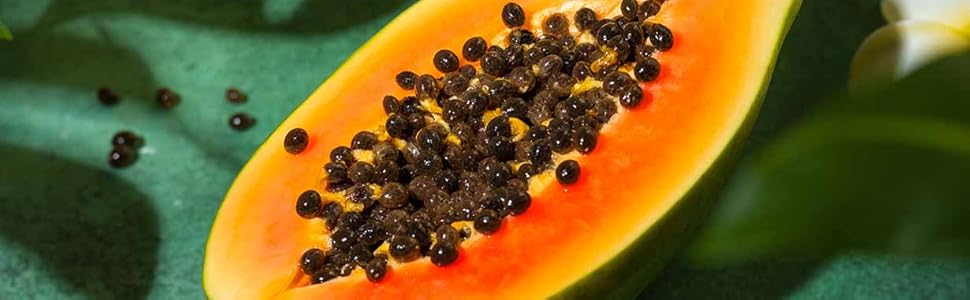 papaya様 Tropical Papaya Zkittlez Boxset – 808 Genetics
