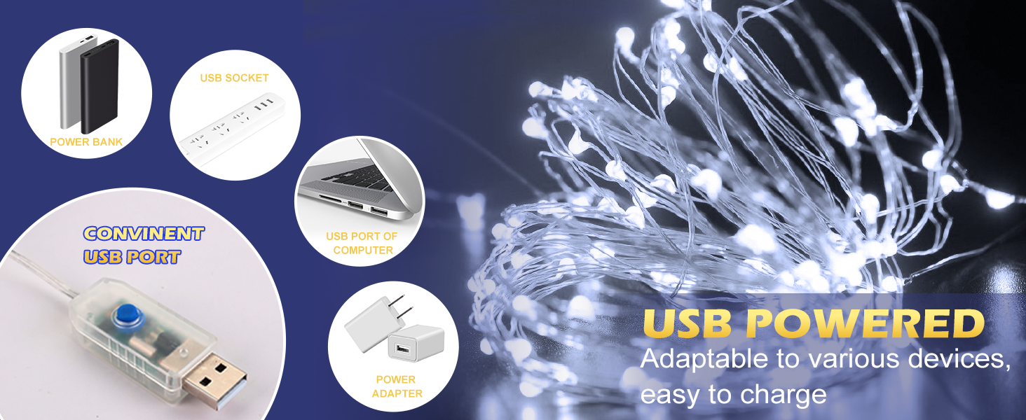 Ehome String Lights, USB Fairy Lights Plug in 33 ft 100 LED