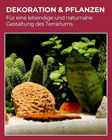 Dekoration und Pflanzen