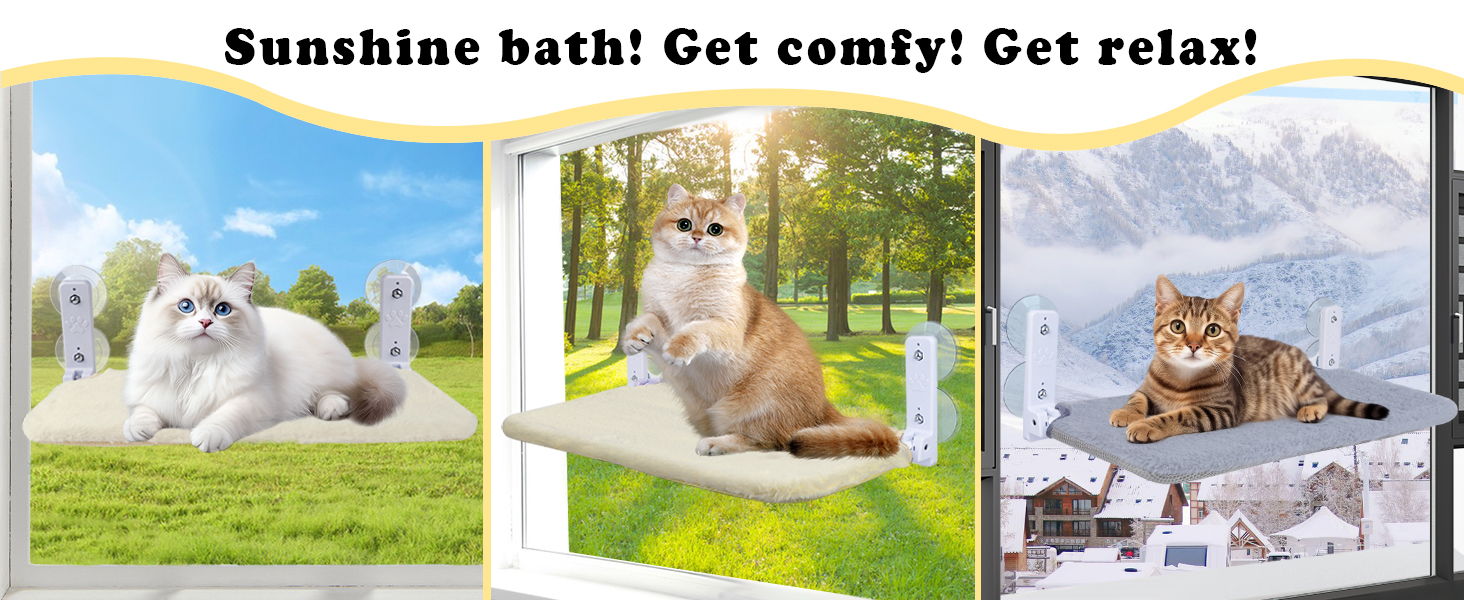 Cat Window Perch A+5