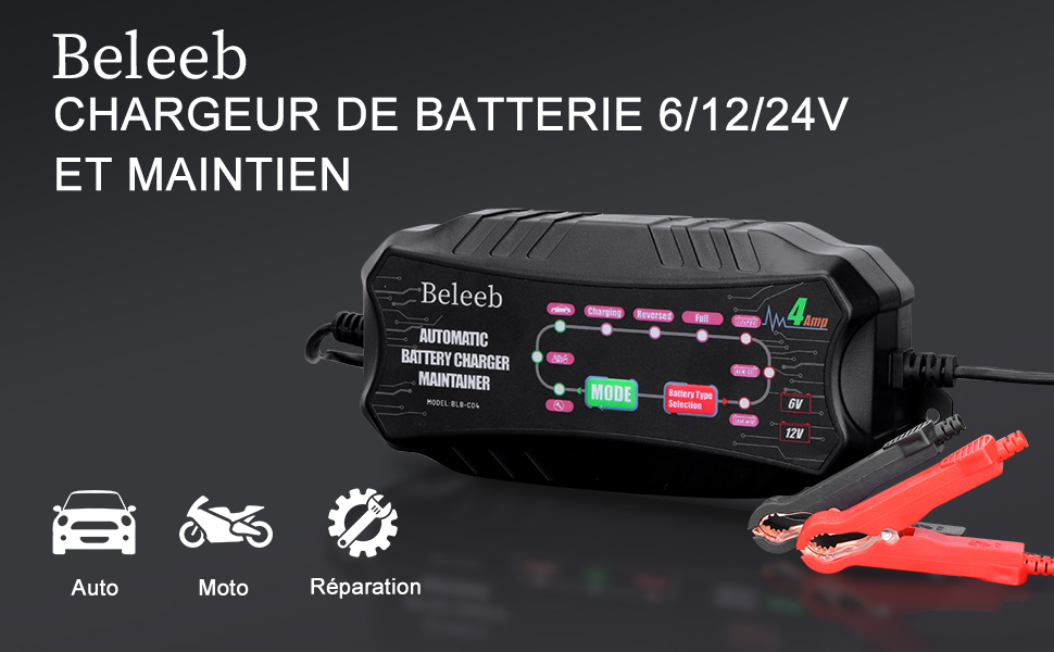 Beleeb Série C04 Désulfateur Automatique de Batterie pour Batteries PlombAcide SLA Gel AGM, 6V