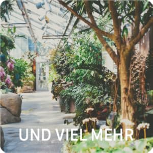 Pflanzen und Bäume in Gewächshaus