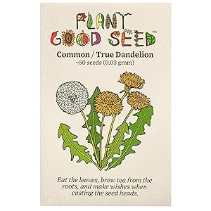 Dandelion-seed true-dandelion wild heirloom seeds-for-planting bee-friendly usa untreated organic