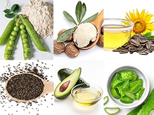 Small manufacture image 2