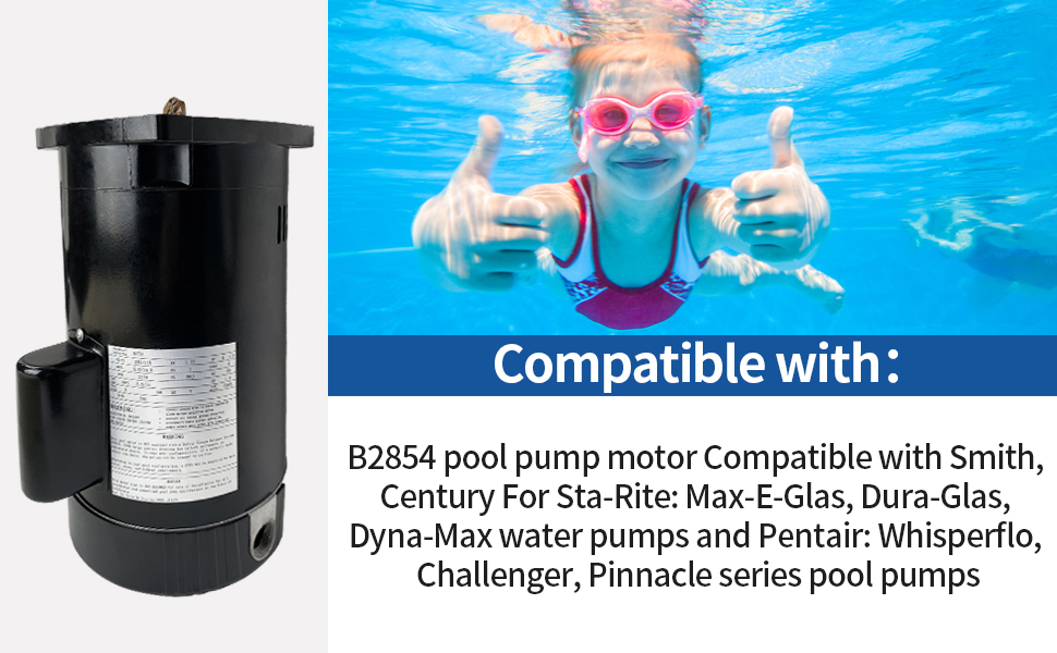 B2854 Pool Pump Motor 1.5HP Compatible with Century/AO Smith Pool Pump
