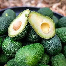 Los aguacates frescos se muestran en fila, y algunos cortados por la mitad muestran el hueso y la pulpa, fotografiados en una superficie oscura.