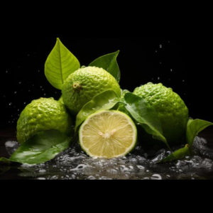 Small manufacture image 1