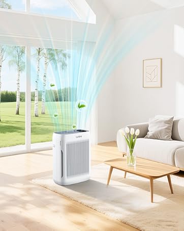 Air Purifiers for Home Large Room