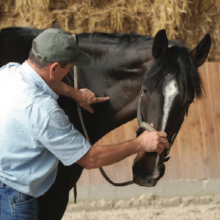 Small manufacture image 4