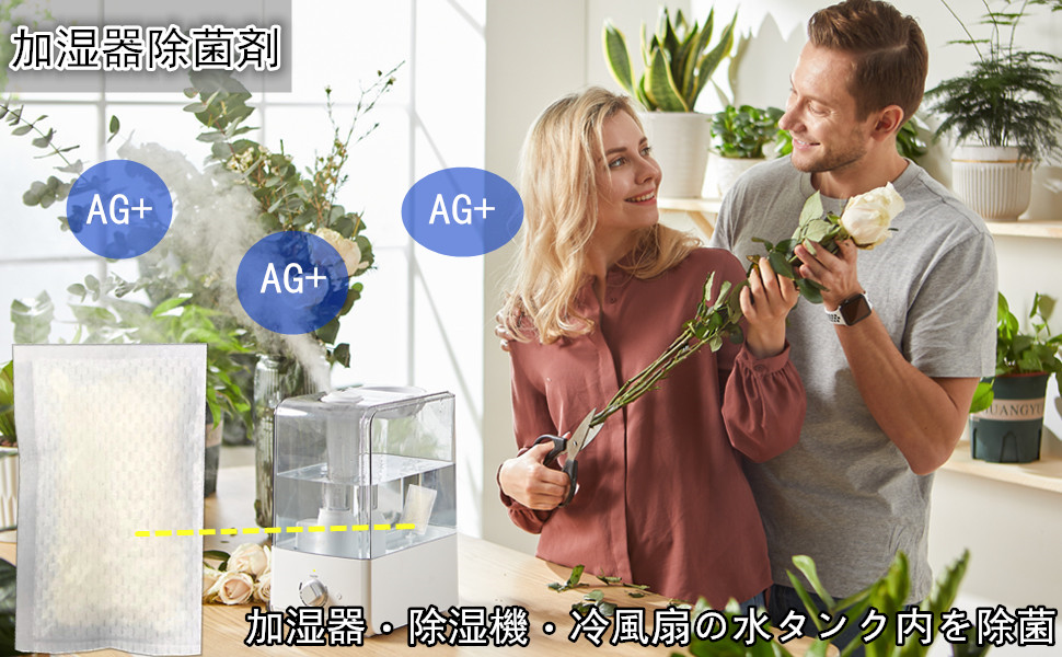 Amazon.co.jp: 加湿器除菌 銀の力 加湿器 除湿機 冷風扇タンク内