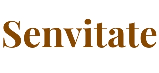 Senvitate Phone Holster