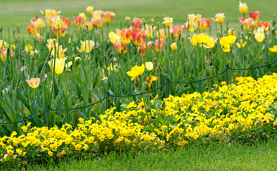 plant stakes