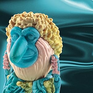 US Raw Materials 3D Printer Filament PLA, Shiny Matte Rainbow Color Filament, Color Change by Length PLA, Fit Most FDM 3D Printers, 250G Spool, Rainbow Blaze 15 3D Printer Filament