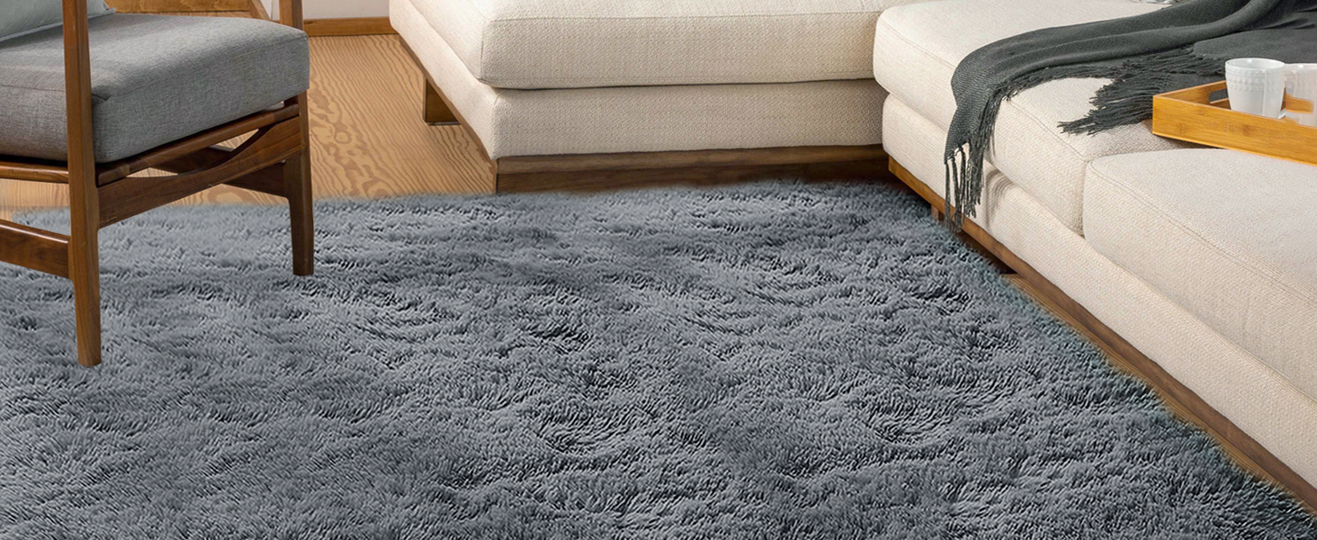 ROCYJULIN Area Rug for Living Room, 5x7 Fluffy Rugs for