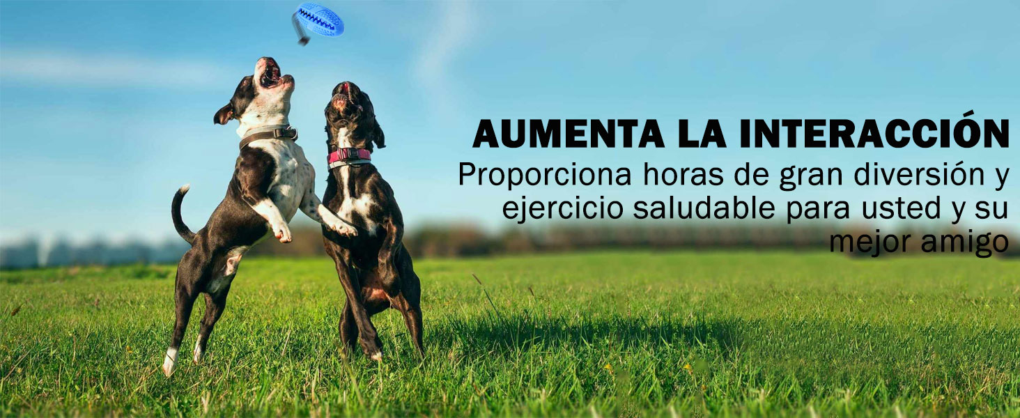 Juguetes Para Perros
