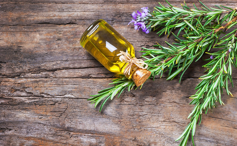 Rosemary Oil for Hair Growth