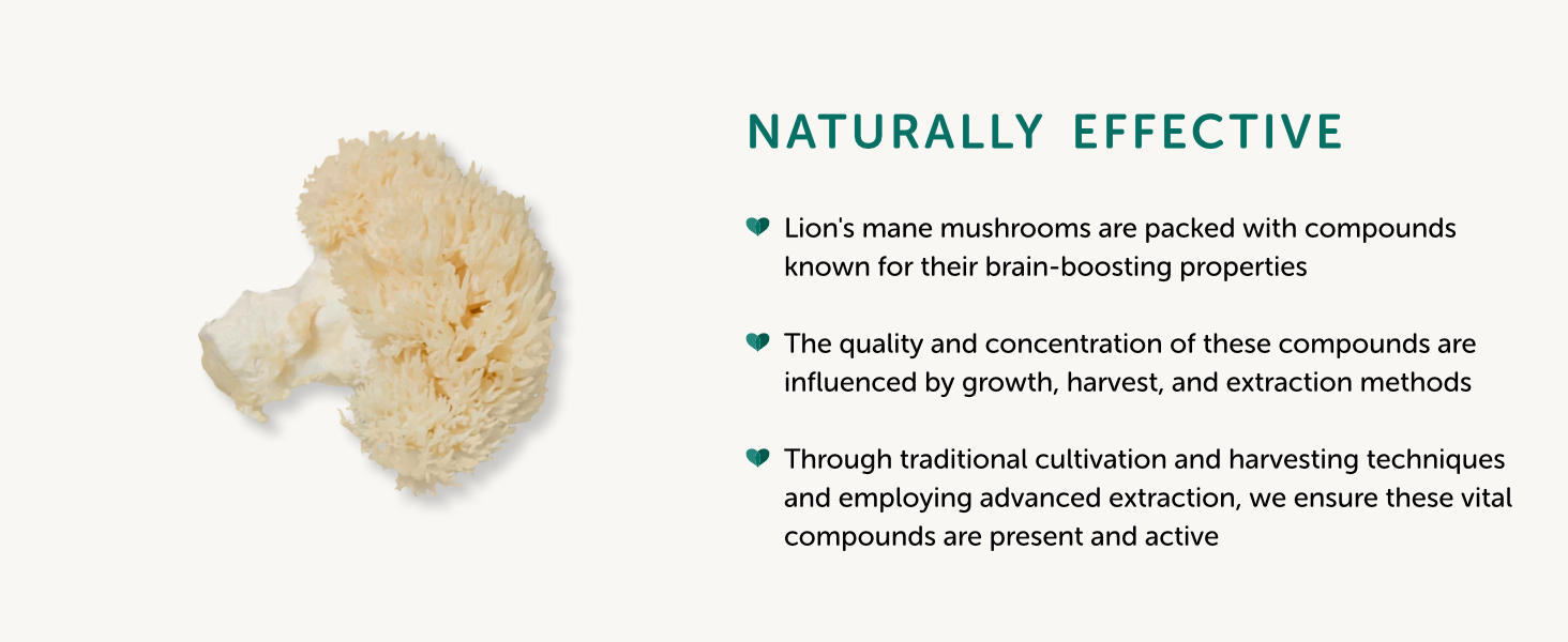 Lion's mane naturally effective