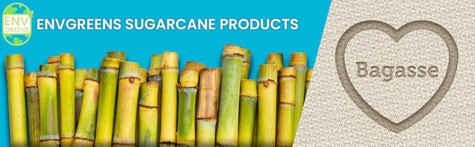 Papper Products Bagasse Sugarcane Disposable Plates Plat Coffee Cups Boxes Food