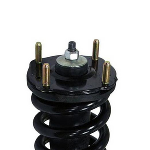 Strut and Coil Spring Assembly6