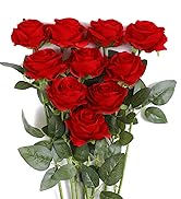 red rose