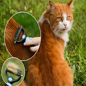 dog combs for grooming