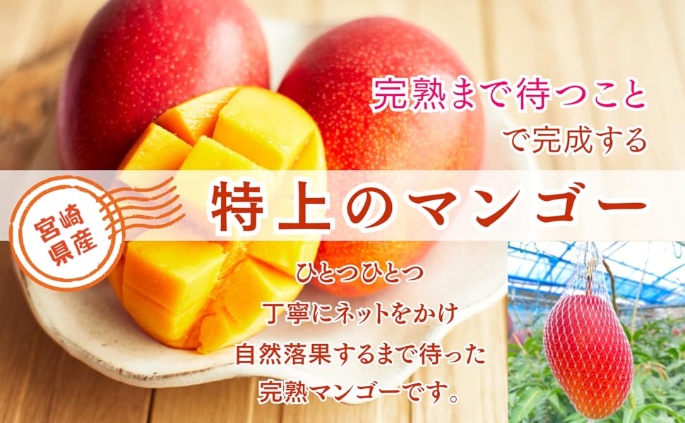 蝶々華 色々マンゴー食べ比べセット　(a)と(b) 夏ギフト】💕朱色と金色のマンゴー食べ比べ☀️太陽マンゴー(2L