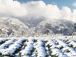 Small manufacture image 4