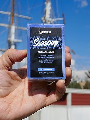 hand holding up soap in front of ship