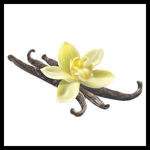 VANILLA PLANIFOLIAFLOWER EXTRACT