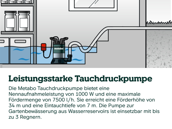 Koz yoshlari bilan foto video Rus qattiq mushuk