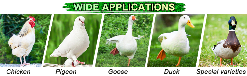 Large manufacture image 4