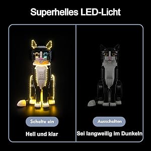 BUDDI's グッズセット LEGO 21349 Ideas Biało-czarny kot - porównaj ceny