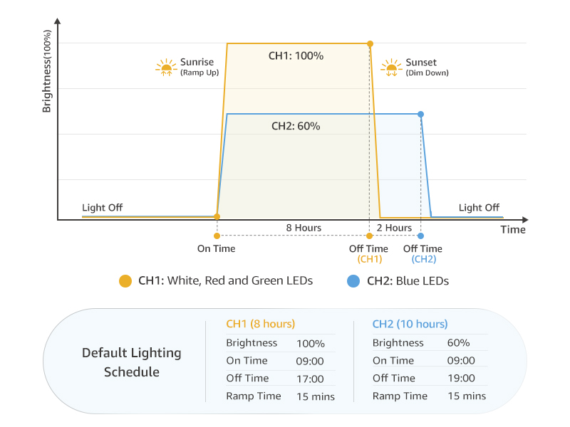 aquarium light for plants
