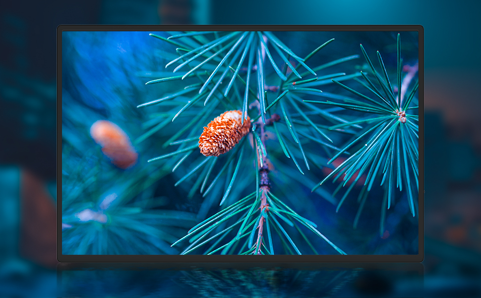 laptop monitor extender