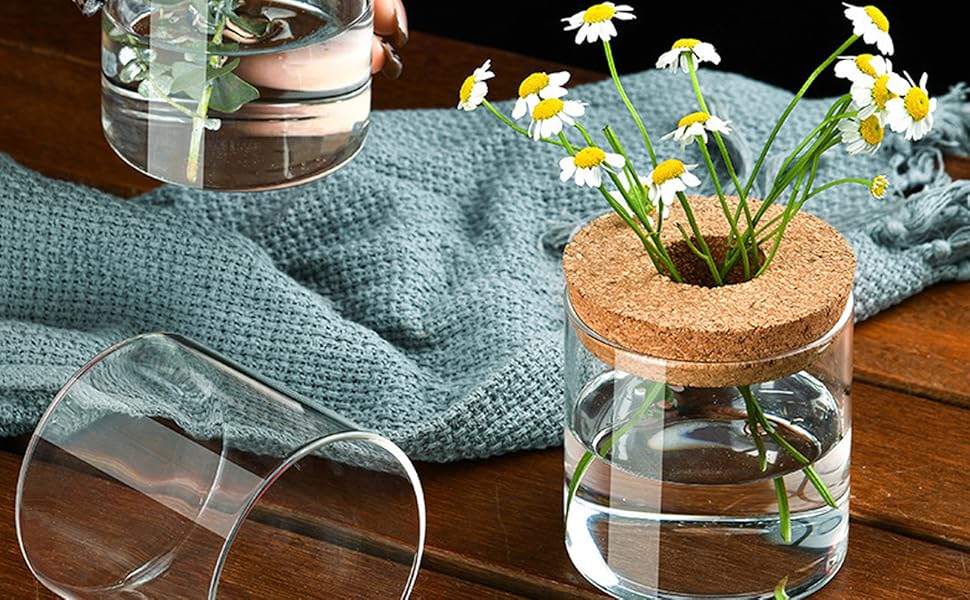 Amazon.com: Clear Glass Planter Vase with Wooden Lid and